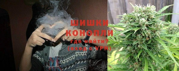 молекула духа Саяногорск
