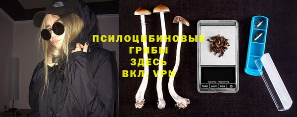 СК Алзамай