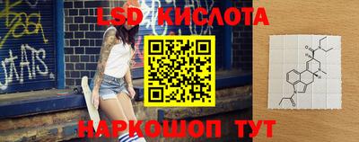 apvp Кингисепп