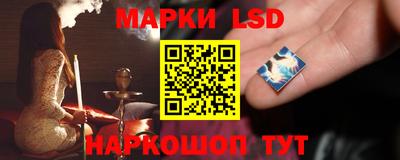 apvp Кингисепп