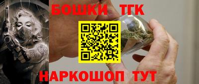 apvp Кингисепп