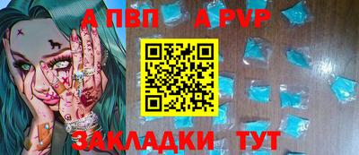 apvp Кингисепп