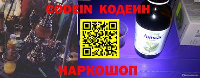apvp Кингисепп
