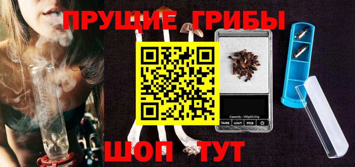 Волхов  Псилоцибиновые грибы прущие грибы  Вход с VPN 